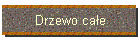 Drzewo całe
