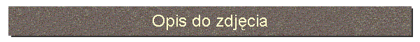 Opis do zdjcia
